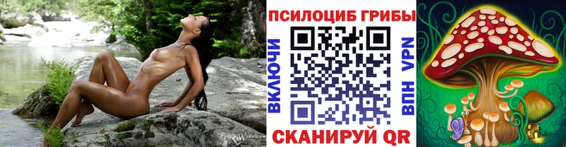 Псилоцибиновые грибы Cubensis  наркотики  Волжск 