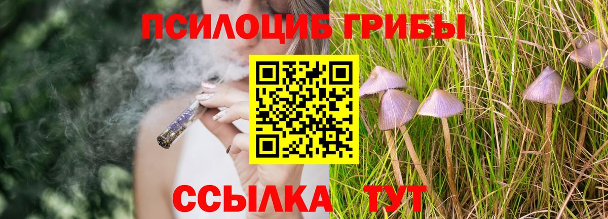 Галлюциногенные грибы Magic Shrooms Волжск